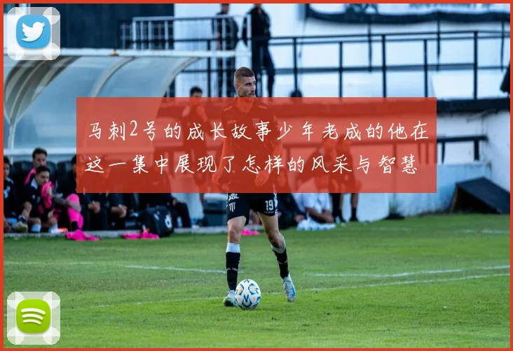 马刺2号的成长故事少年老成的他在这一集中展现了怎样的风采与智慧
