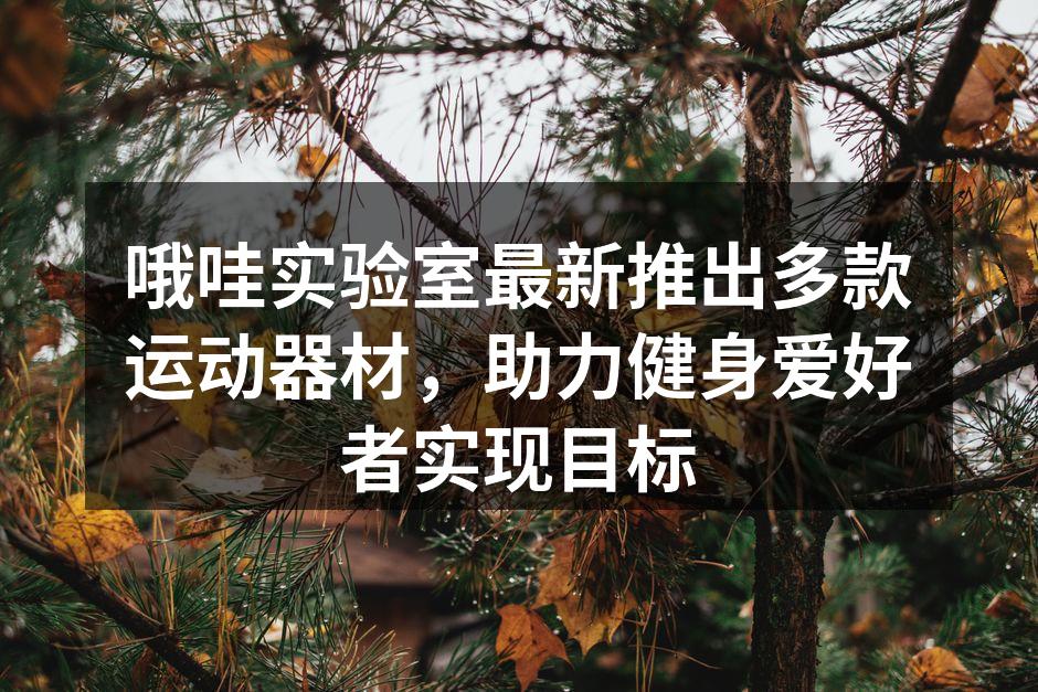 哦哇实验室最新推出多款运动器材，助力健身爱好者实现目标